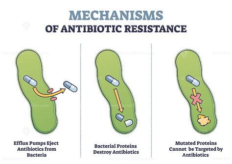 Antibiotic resistance outline diagram, illustrated mechanism in ...