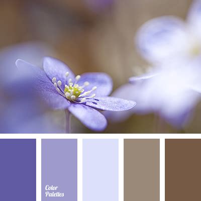 violet color for a wedding | Color Palette Ideas