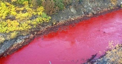 Science baffled: River in Russia mysteriously turns blood red