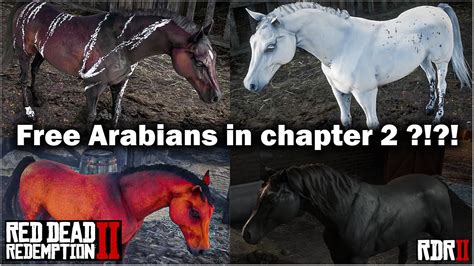 Four free Arabian Horse in chapter 2 in Red Dead Redemption 2 in 2021 ...