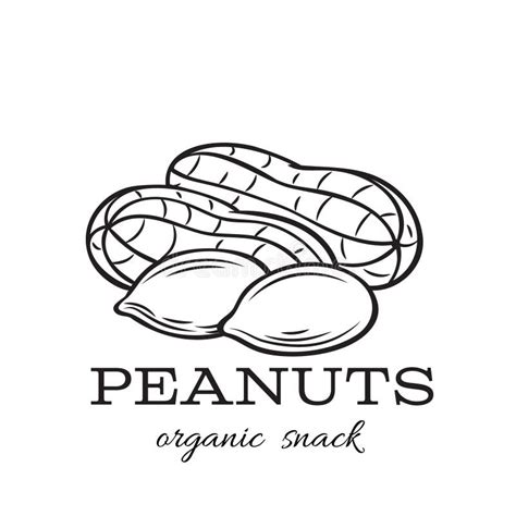 Peanuts Clipart Black And White