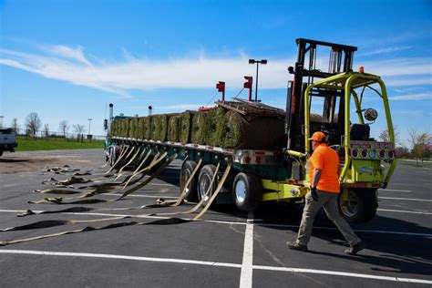 SOD INSTALLATION – Helts Turf Farm