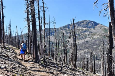 12 Best Hiking Trails near Missoula, MT | PlanetWare