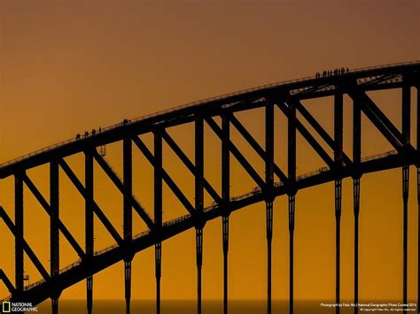 Sydney Harbour Bridge Digital Art by Celestina Paul - Fine Art America