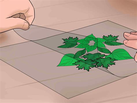 3 Ways to Make a Leaf Collage - wikiHow