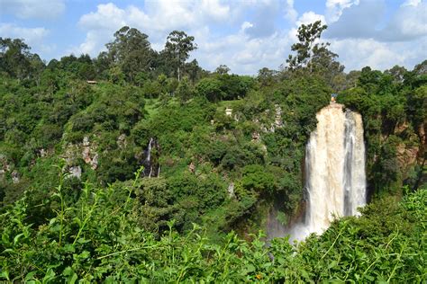 Kenya Africa forest jungle waterfall - Regeneration International