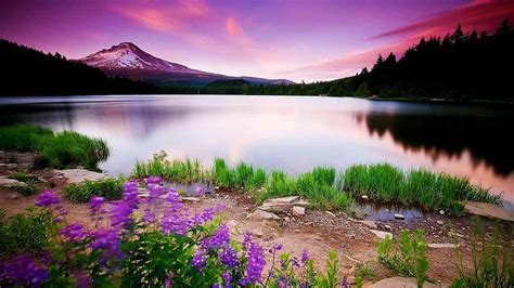 Nature Scenery, scenery, nature, HD wallpaper | Peakpx