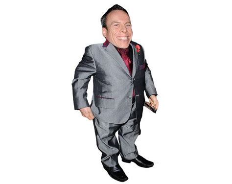 Cardboard Cutout of Warwick Davis - Lifesize Celebrity Cutouts