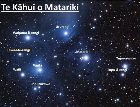 Finding Matariki – Kiwi Conservation Club