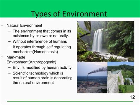 Diploma. ii es unit 1 environment ecology and ecosystem