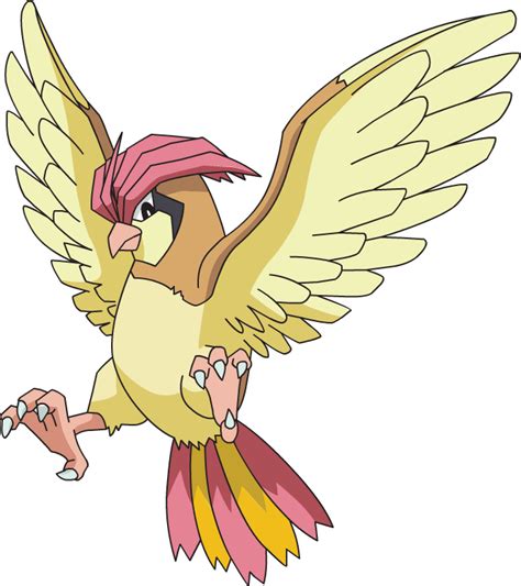 Pidgeotto | Project Pokemon Wiki | Fandom