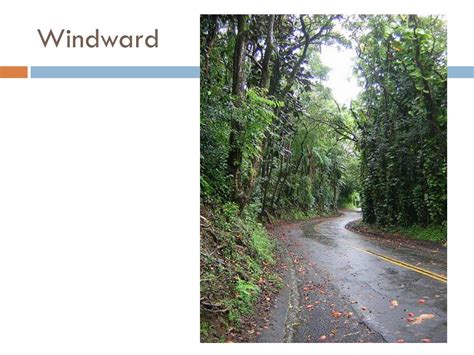 PPT - Leeward vs. Windward PowerPoint Presentation, free download - ID ...