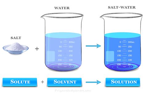 Solvent - Definition, Types, Examples - Chemistry