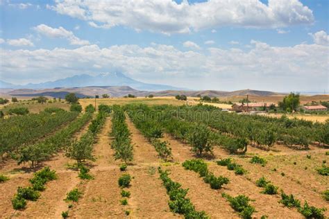 Scenic Landscape Country Countryside Scenery, Turkey Stock Image ...