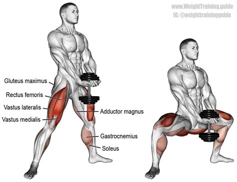 Dumbbell sumo squat (aka dumbbell plié squat). A compound lower-body ...