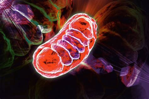 Primary mitochondrial disease – Abliva