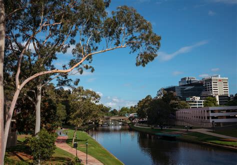 My Sydney: Artist Brook Andrew on Why Parramatta River Is Underrated ...