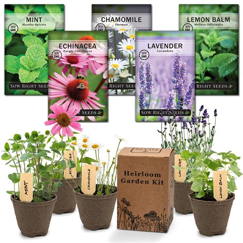 Herbal Tea Garden Starter Kit - Brew Fresh Tea Leaves – Sow Right Seeds