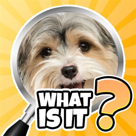 What is it? Quiz Trivia Game - App on the Amazon Appstore