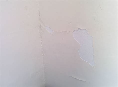 Paint peeled off with wall border sticker - Home Improvement Stack Exchange