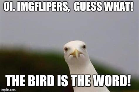 The bird is the word! - Imgflip