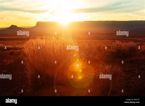 Valley of the Gods rock formation with Monument Valley at sunrise Stock ...