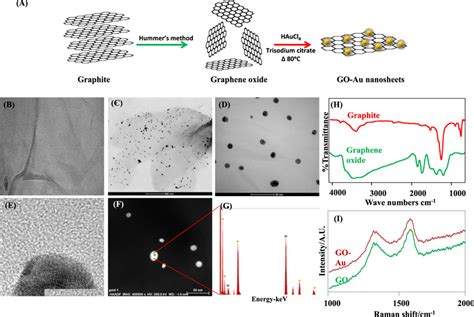 Synthesis and characterization of graphene oxide-gold nanosheets: (A ...