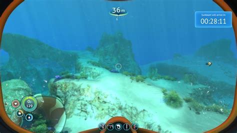 Subnautica: Safe Shallows - biome guide | gamepressure.com