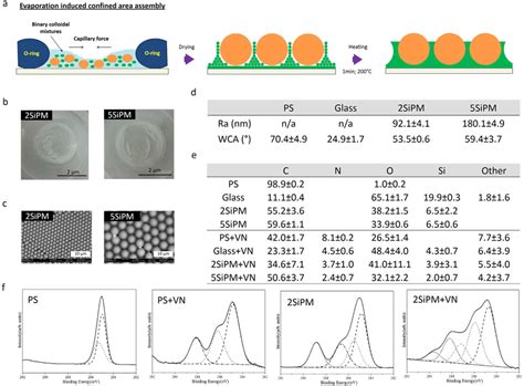 Surface characterization of BCCs. (a) Schematic illustration of binary ...