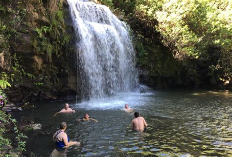 Day 6 - Kohala Waterfalls Adventure with Hawaii Forest & Trail ...