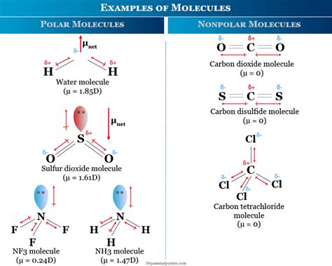 Nonpolar Molecule