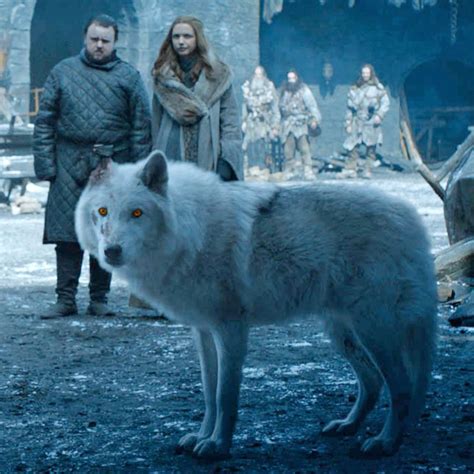 Why Game of Thrones Had to Shoo Away Its Direwolves | Direwolves, Dire ...