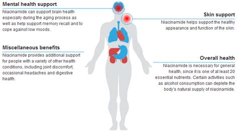 Vitamin B3 (Niacinamide) | Health Benefits and Uses of Vitamin B3 ...