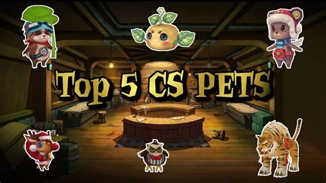 FLYFF - TOP 5 CS PETS!!! - YouTube