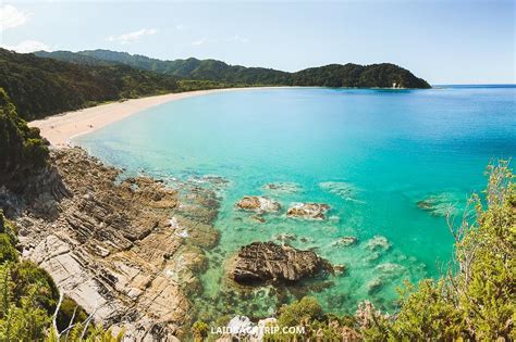 Abel Tasman Coast Track: The Only Hiking Guide You Need — LAIDBACK TRIP