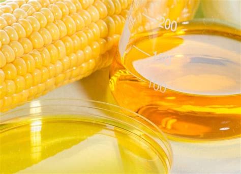 How is Corn Oil Extracted? | Trucent