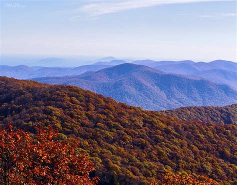 [OC] Blue Ridge Mountains in Autumn from Brasstown Bald - Northeast ...