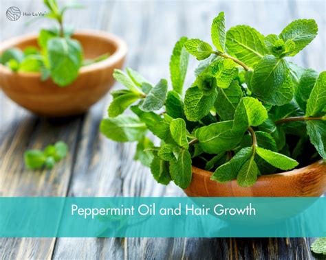 Stimulate Hair Growth with Peppermint Oil | Hair La Vie