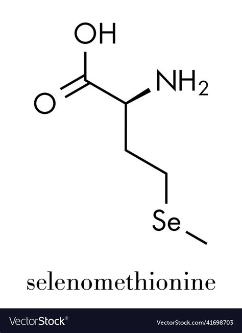 Selenomethionine amino acid molecule selenium Vector Image