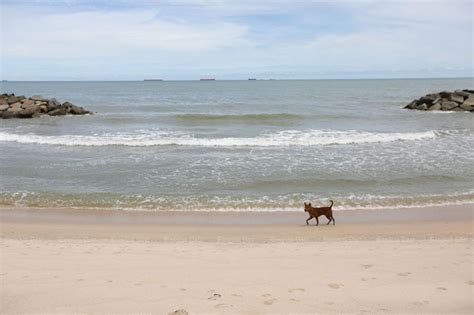 Bangkok Post - Rayong beaches closed 8pm-5am