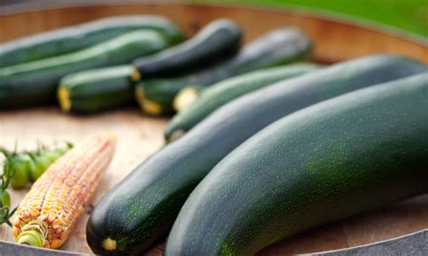 Zucchini Nutrition Facts and Health Benefits - One Good Food Blog