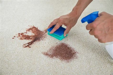 Rug Cleaning - Top Tips