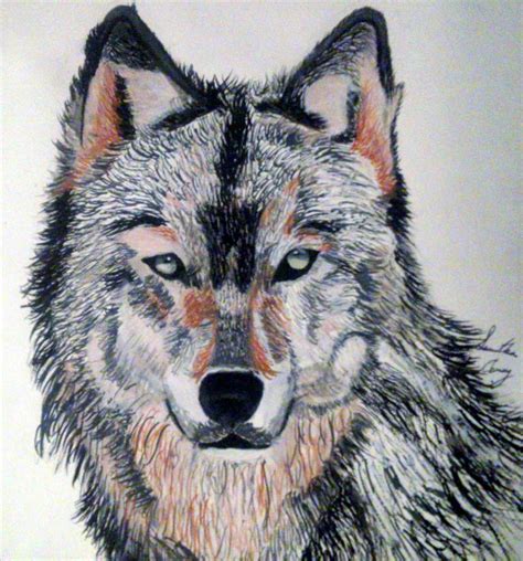 Wolf Pencil Sketch: Unleashing the Essence of Wildness in Art