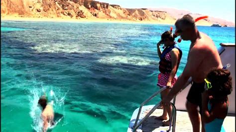 Tiran Island Snorkeling Tour - Journey To Egypt