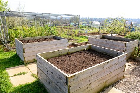 Growing Watermelon in Open Land, in Raised Beds, or on a Trellis - Food ...