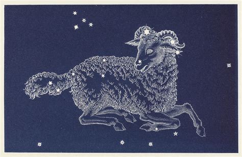 The Constellation Aries Date Drawing by Mary Evans Picture Library ...