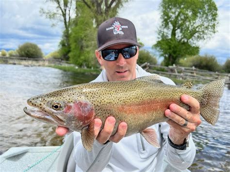 Wyoming Fly Fishing is Heating Up! Summer is Here! - Wyoming Fishing ...