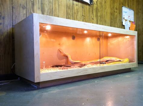 Herp Homes! in 2024 | Snake cages, Diy reptile, Snake enclosure