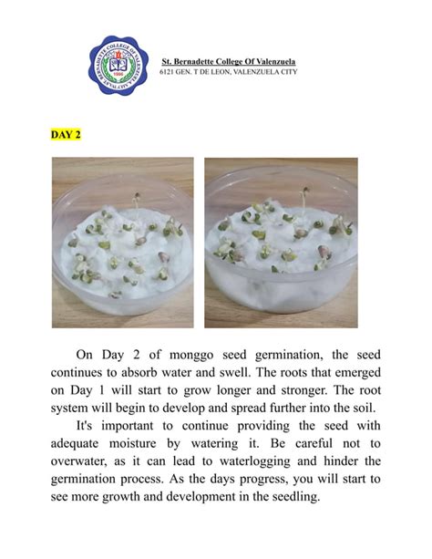 Monggo Seeds Experiment Day 1 to Day 7.pdf