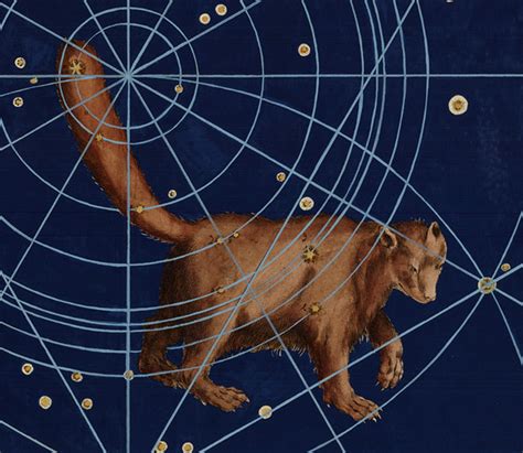 Ursa Minor Constellation Myths and Facts | Under the Night Sky